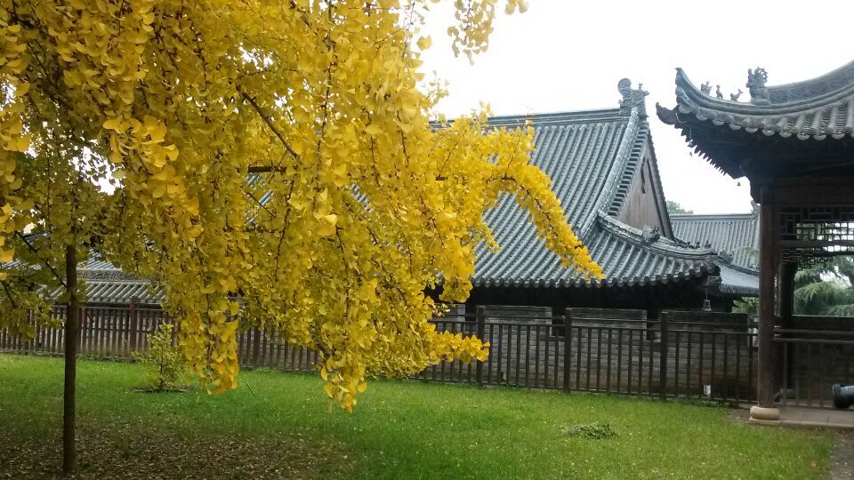 观音禅寺1.jpg