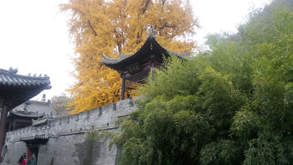 观音禅寺4.jpg