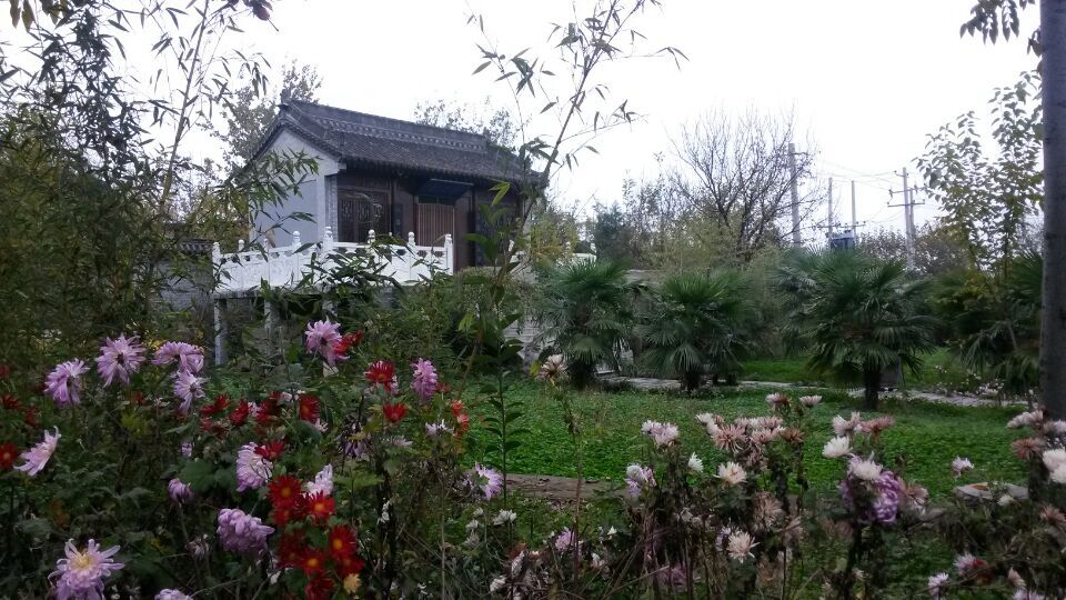观音禅寺5.jpg