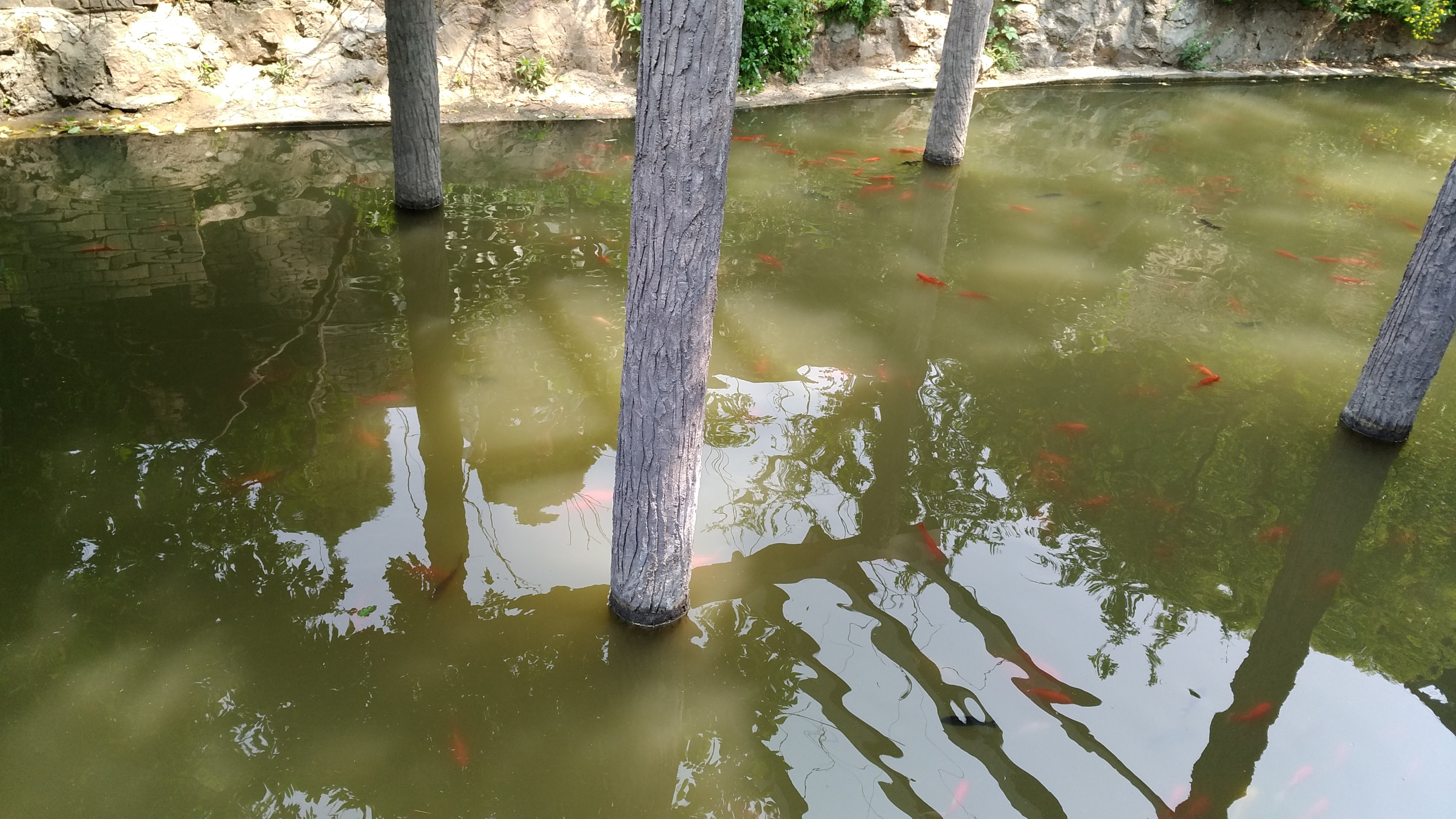 华清宫12