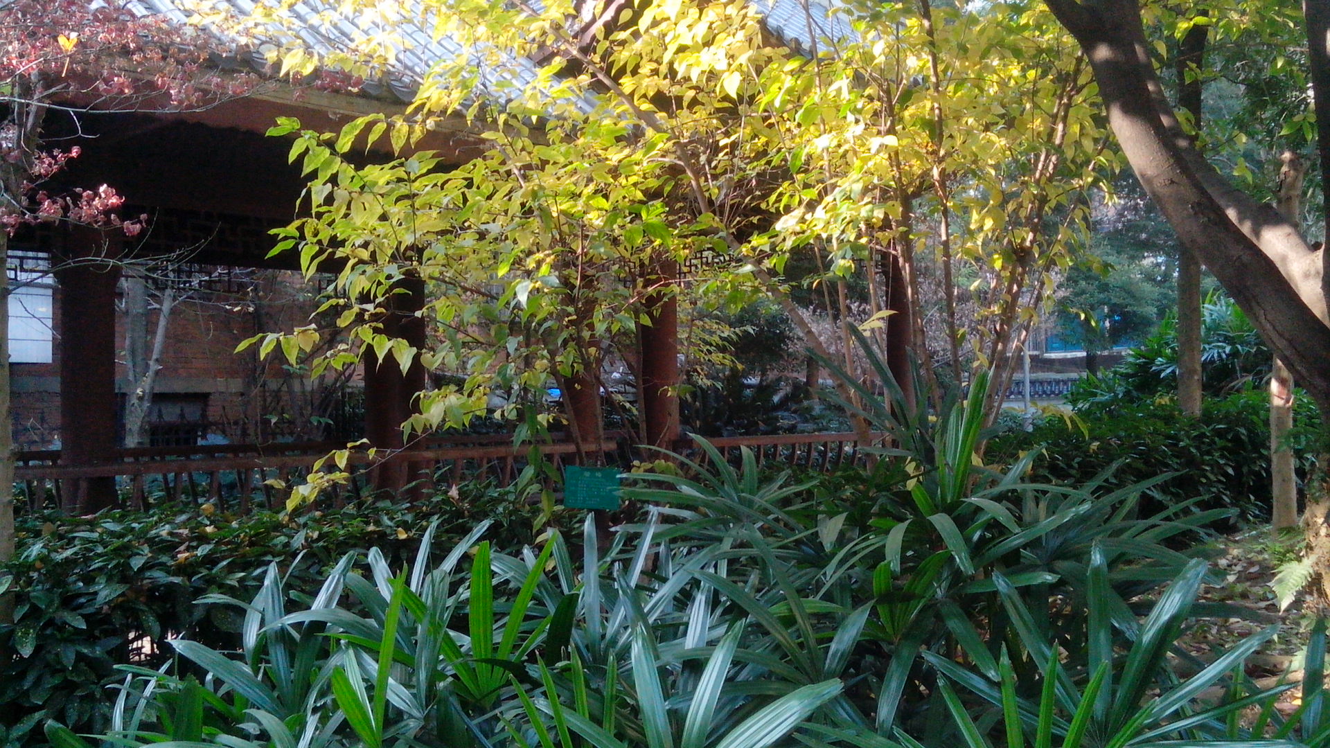 0103_41.jpg