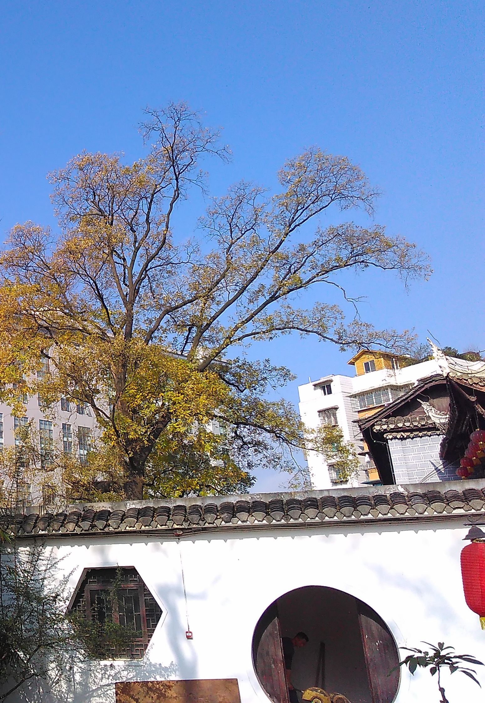 IMG_20170101_104616_看图王.jpg