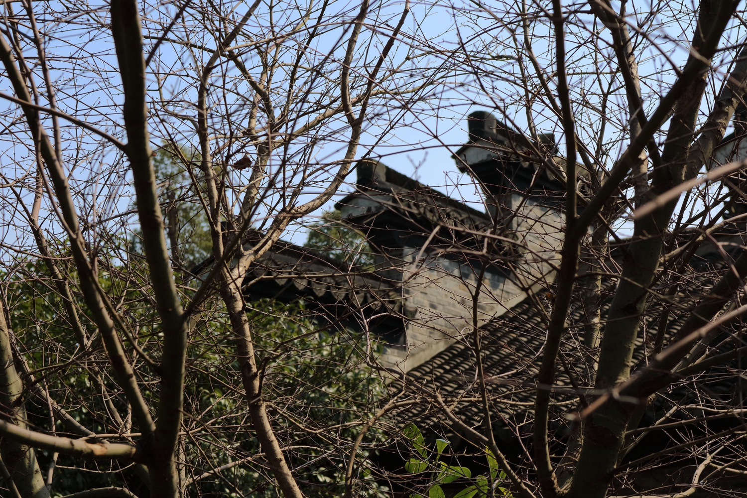IMG_1208_副本.jpg