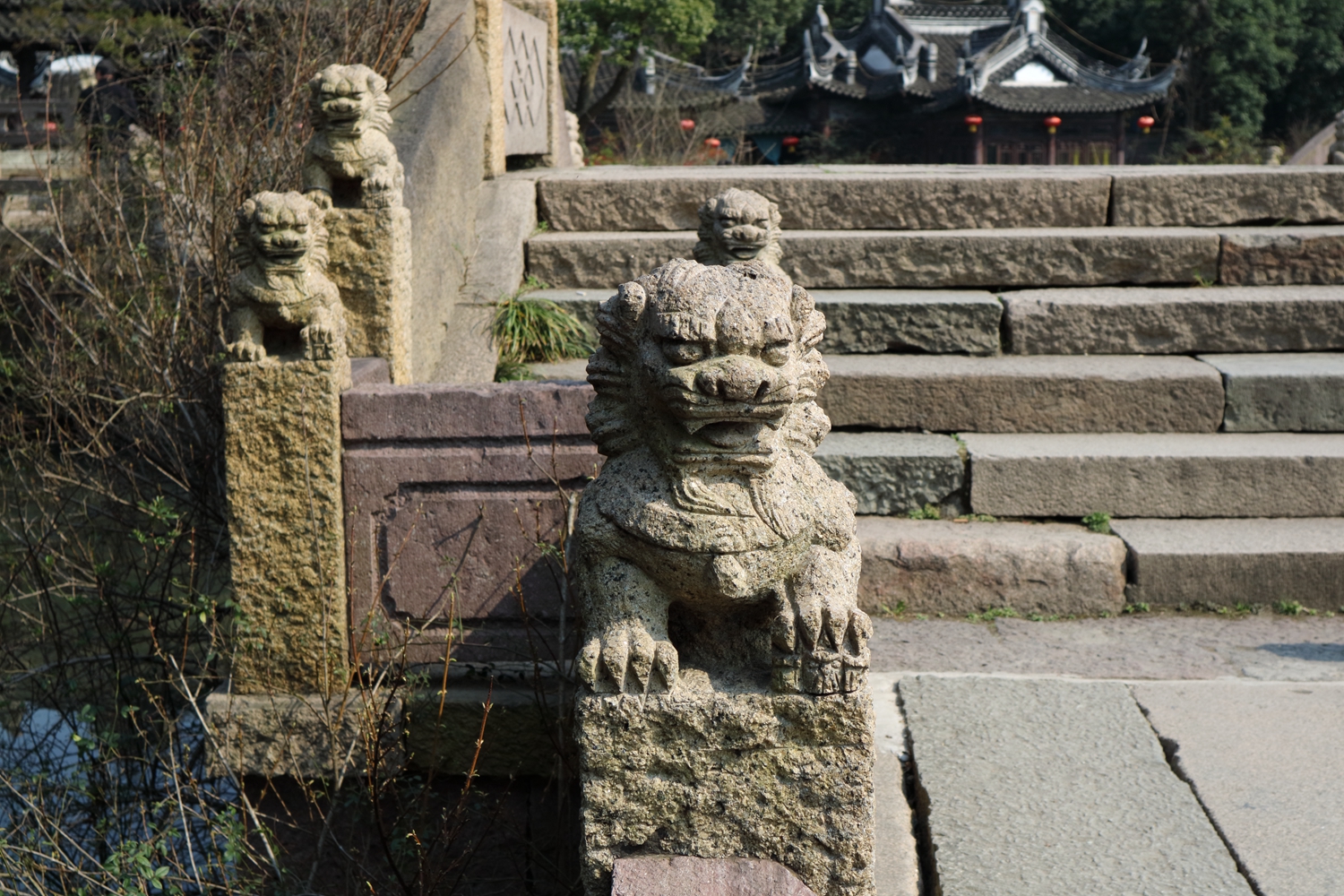 IMG_1331_副本.jpg