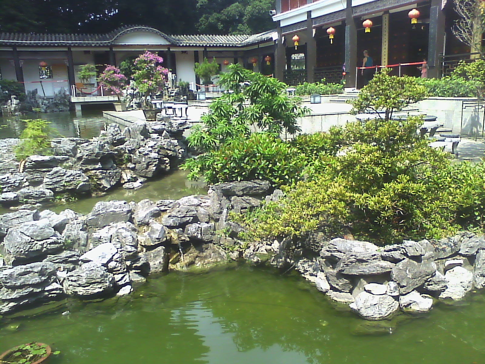 IMG00239.jpg