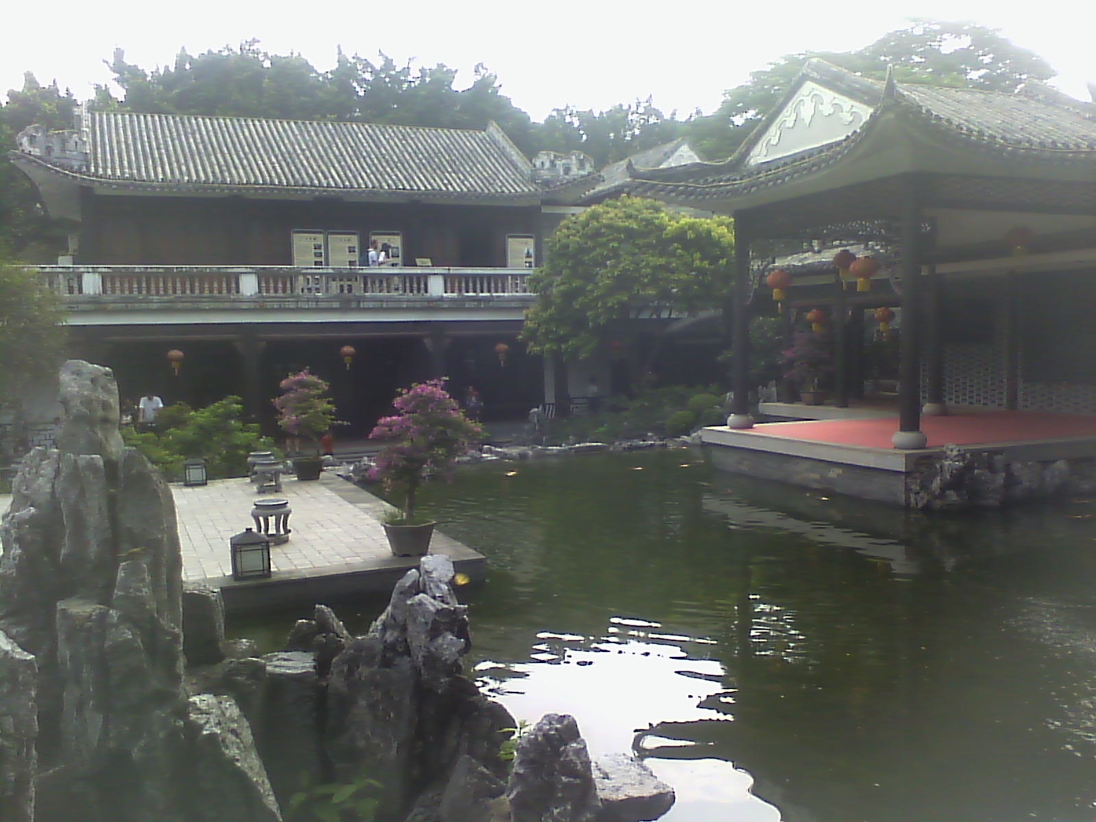 IMG00242.jpg