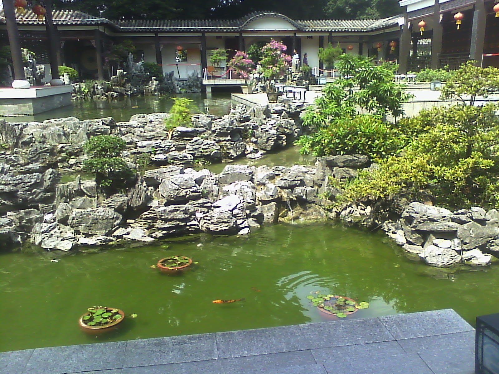 IMG00238.jpg