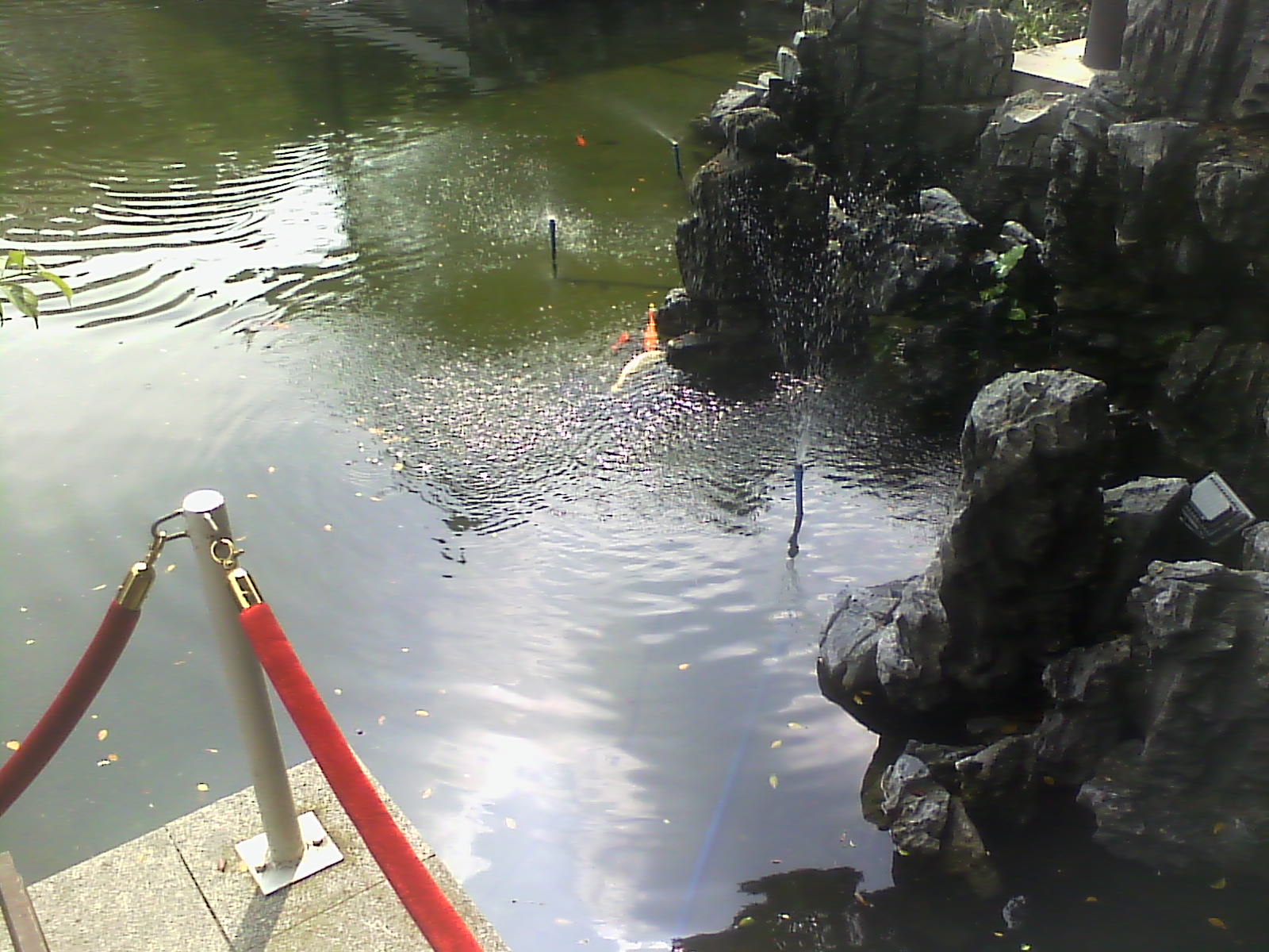 IMG00240.jpg