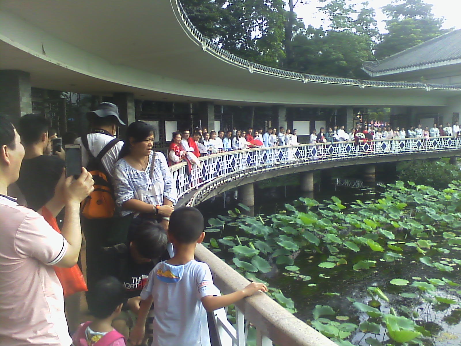IMG00260.jpg