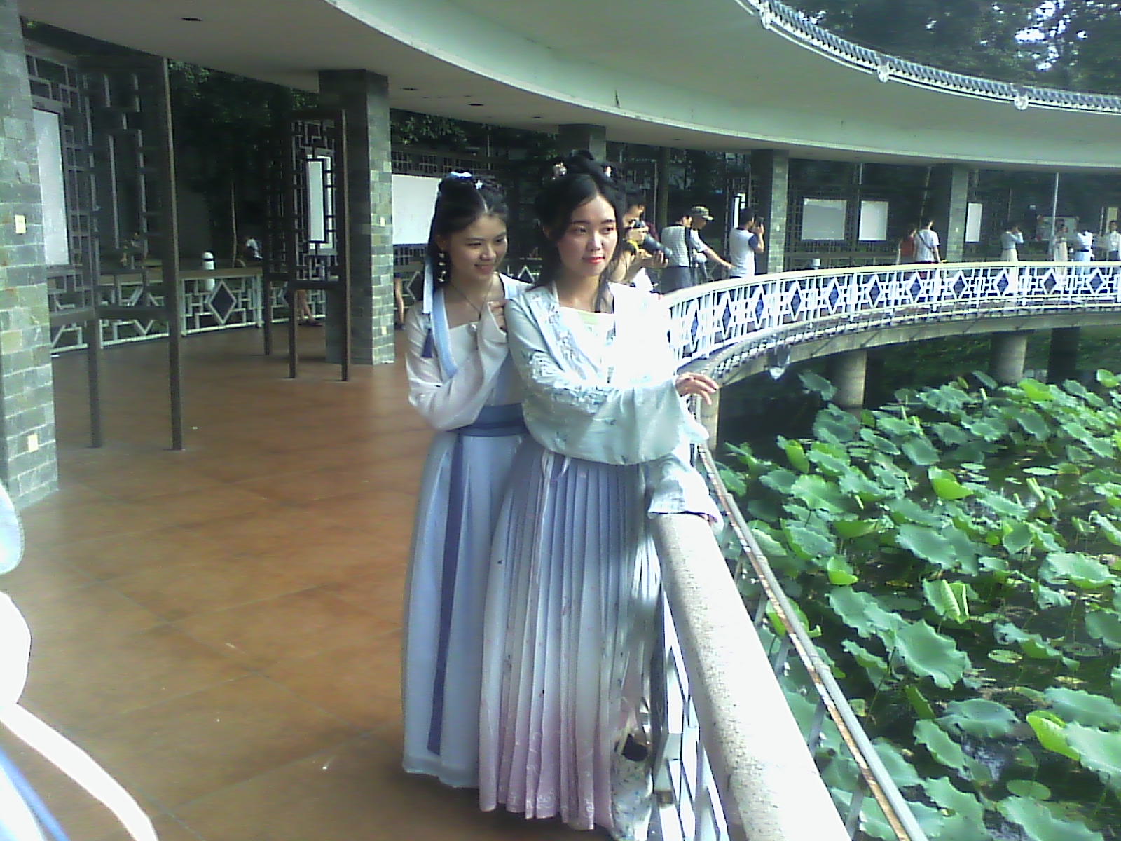 IMG00263.jpg