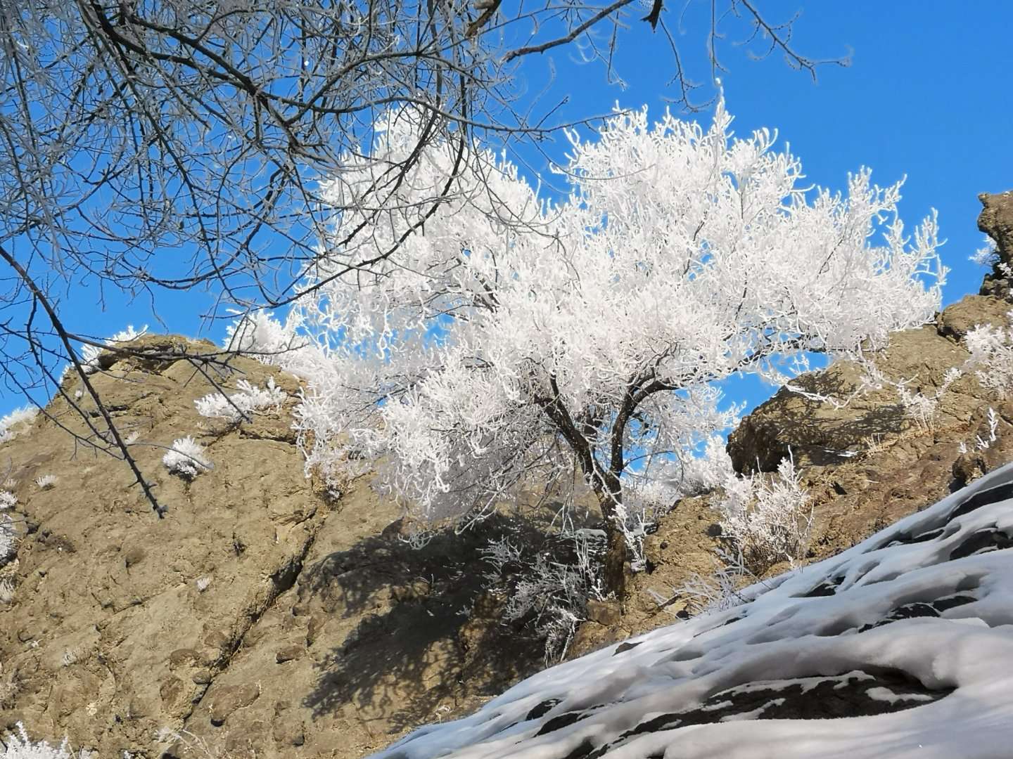 戈壁雪1.jpg