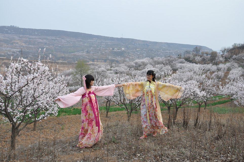 杏花谷1.jpg
