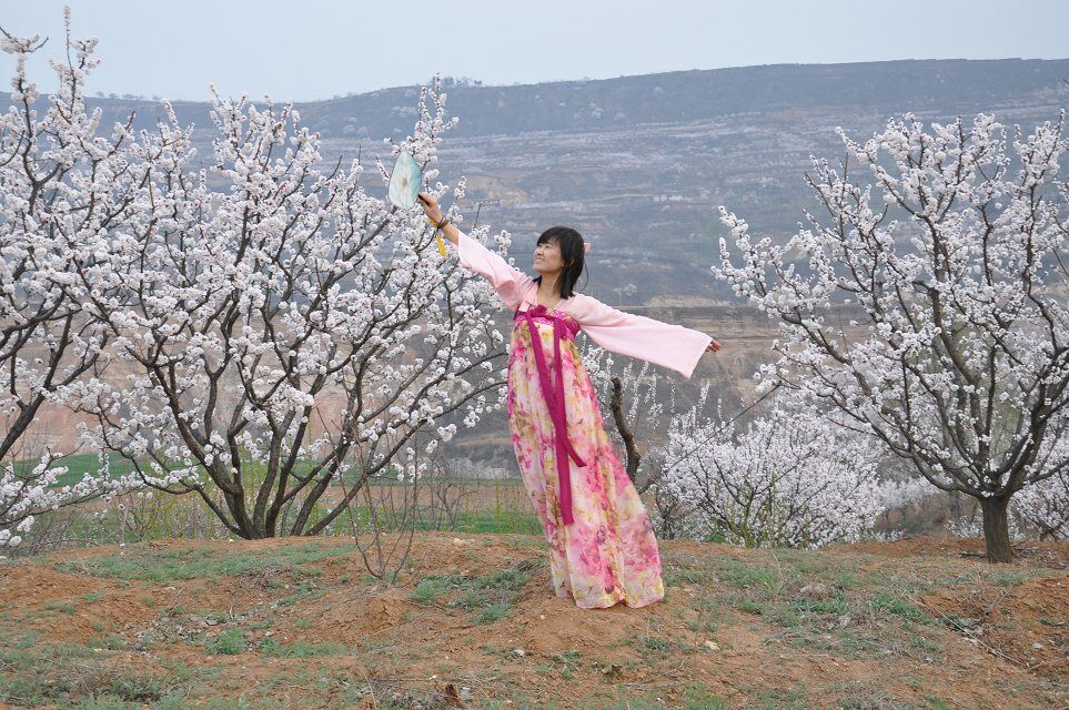 杏花谷2.jpg