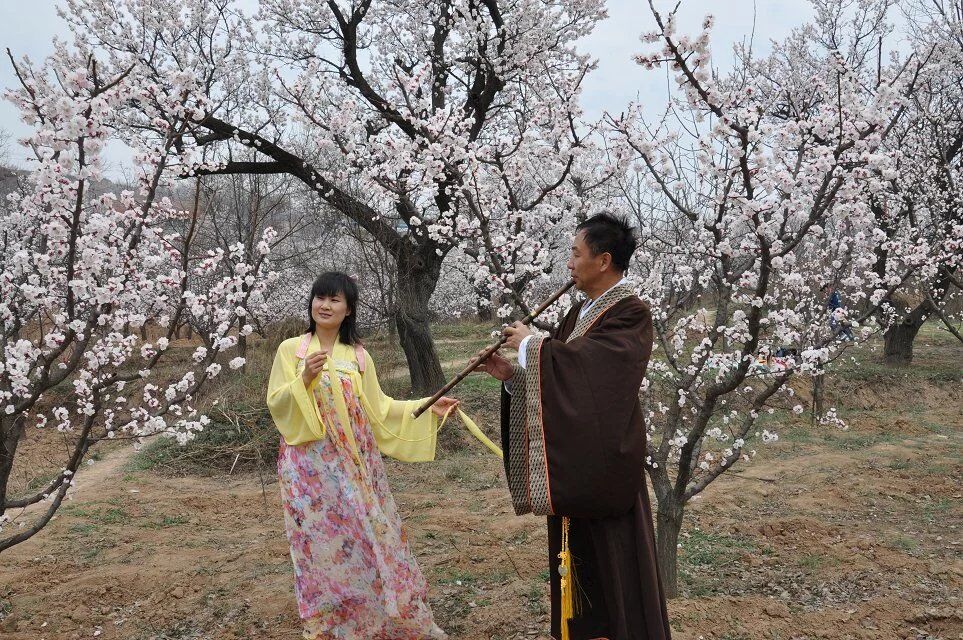 杏花谷4.jpg