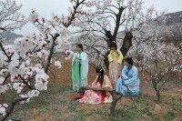 杏花谷5.jpg
