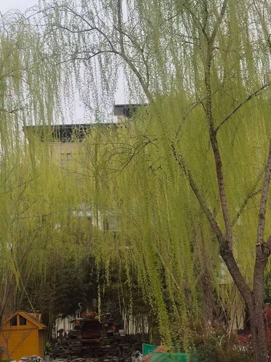 微信图片_20210301122252.jpg