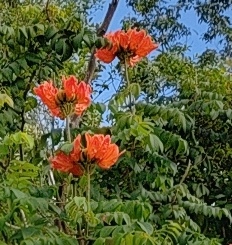 IMG_20240118_091941.jpg